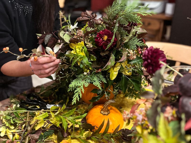 A close up of a hand adding flowers into a pumpkin to make a display